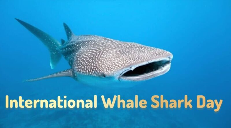 महासागर की रखवाली करने वाला एक प्राचीन समुद्री जीव