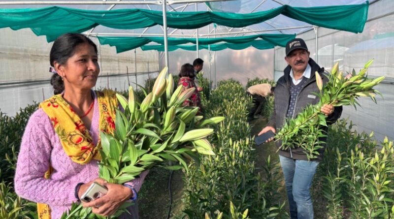 उद्यमिता से स्वरोजगार बढ़ाकर पलायन रोक रही ग्रामोत्थान परियोजना