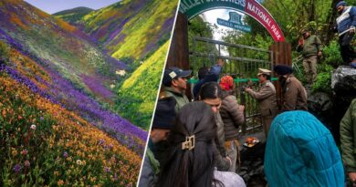 विश्व प्रसिद्ध फूलों की घाटी पर्यटकों के लिए खुली