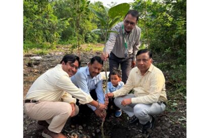 पेड़ नहीं, आने वाली पीढ़ियों का भविष्य लगा रहे हैं”- बंशीधर तिवारी